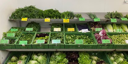 regionale Produkte - Beeren: Stachelbeeren - Deutschland - Ein Teil unserers Gemüse-Sortiments - Bioland Gärtnerei Dänzer