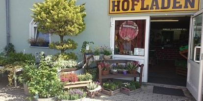 regionale Produkte - Beeren: Himbeeren - Thüringen - Hofladen Langenwolschendorf