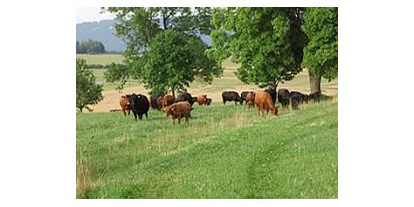 regionale Produkte - Beeren: Himbeeren - Unsere Mutterkühe auf der Sommerweide - Bredemeier Bauernlädchen