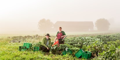 regionale Produkte - Gemüse: Paprika - Ulli Elbers & Anke Hennings - Elbers Hof