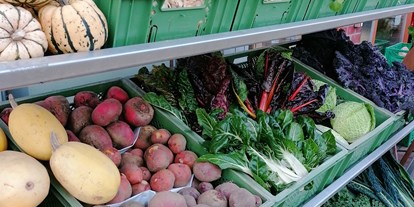 regionale Produkte - Gemüse: Tomaten - Niedersachsen - Vor dem Hofladen im Herbst. - Elbers Hof