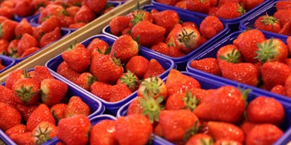 regionale Produkte - Beeren: Erdbeeren - Jork - Obsthof Matthies 