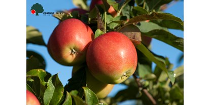regionale Produkte - Beeren: Erdbeeren - Deutschland - Obsthof Lefers