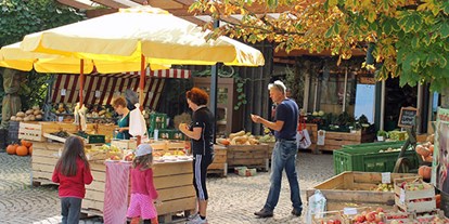 regionale Produkte - Gemüse: Pilze - Baden-Württemberg - Obsthof Wenz