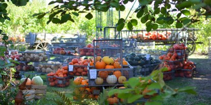 regionale Produkte - Beeren: Himbeeren - Obsthof Wenz