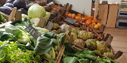 regionale Produkte - Gemüse: Zuchini - Bremen - SoLaWi Hofladen
