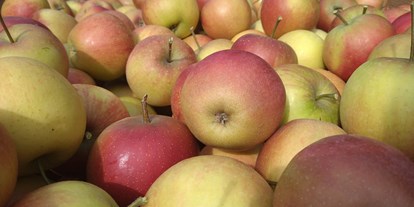 regionale Produkte - Beeren: Himbeeren - Rubinette ein sehr aromatischer Apfel - Dettelbach Obst Liggeringen