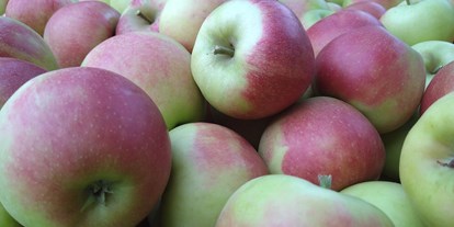 regionale Produkte - Beeren: Himbeeren - Elstar unsere beliebteste Apfelsorte - Dettelbach Obst Liggeringen