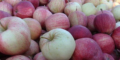 regionale Produkte - Beeren: Himbeeren - Apfelsorte Gala - Dettelbach Obst Liggeringen