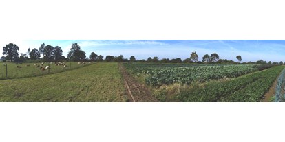 regionale Produkte - Beeren: Heidelbeeren - Schleswig-Holstein - Kühe und Gemüse, dicht an dicht - Hofladen Gut Rothenhausen