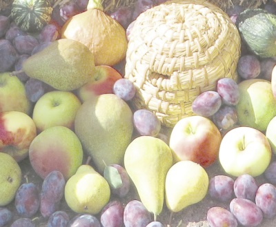 Label: kein Bild vorhanden