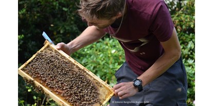 regionale Produkte - Kürten - Bergisches Bienen Gold