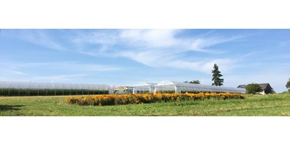 regionale Produkte - Beeren: Heidelbeeren - Kirchberg an der Murr - Bioland Gärtnerei Dänzer