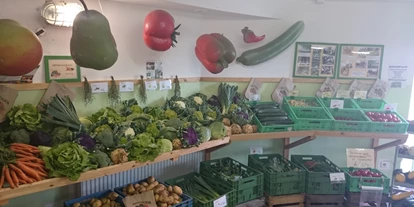 regionale Produkte - Gemüse: Tomaten - Langenwolschendorf - Hofladen Langenwolschendorf