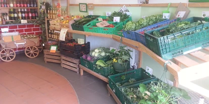 regionale Produkte - Gemüse: Kürbis - Langenwolschendorf - Hofladen Langenwolschendorf