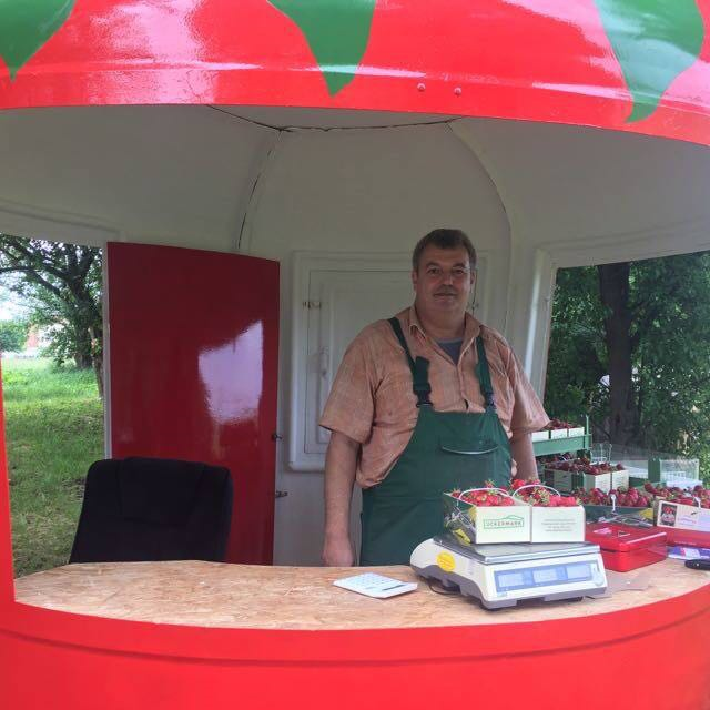 regionale Produkte: Erdbeerhof Stegemannshof