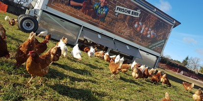 regionale Produkte - unser Hühnermobil mit 242 Tieren - Templiner Landprodukte