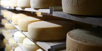regionale Produkte - Spall - Bester Rohmilch-Käse aus unserer eigenen Verarbeitung auf dem Hof - Hof Lehnmühle