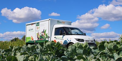 regionale Produkte - Gemüse: Paprika - Unser Lieferdienst - Elbers Hof