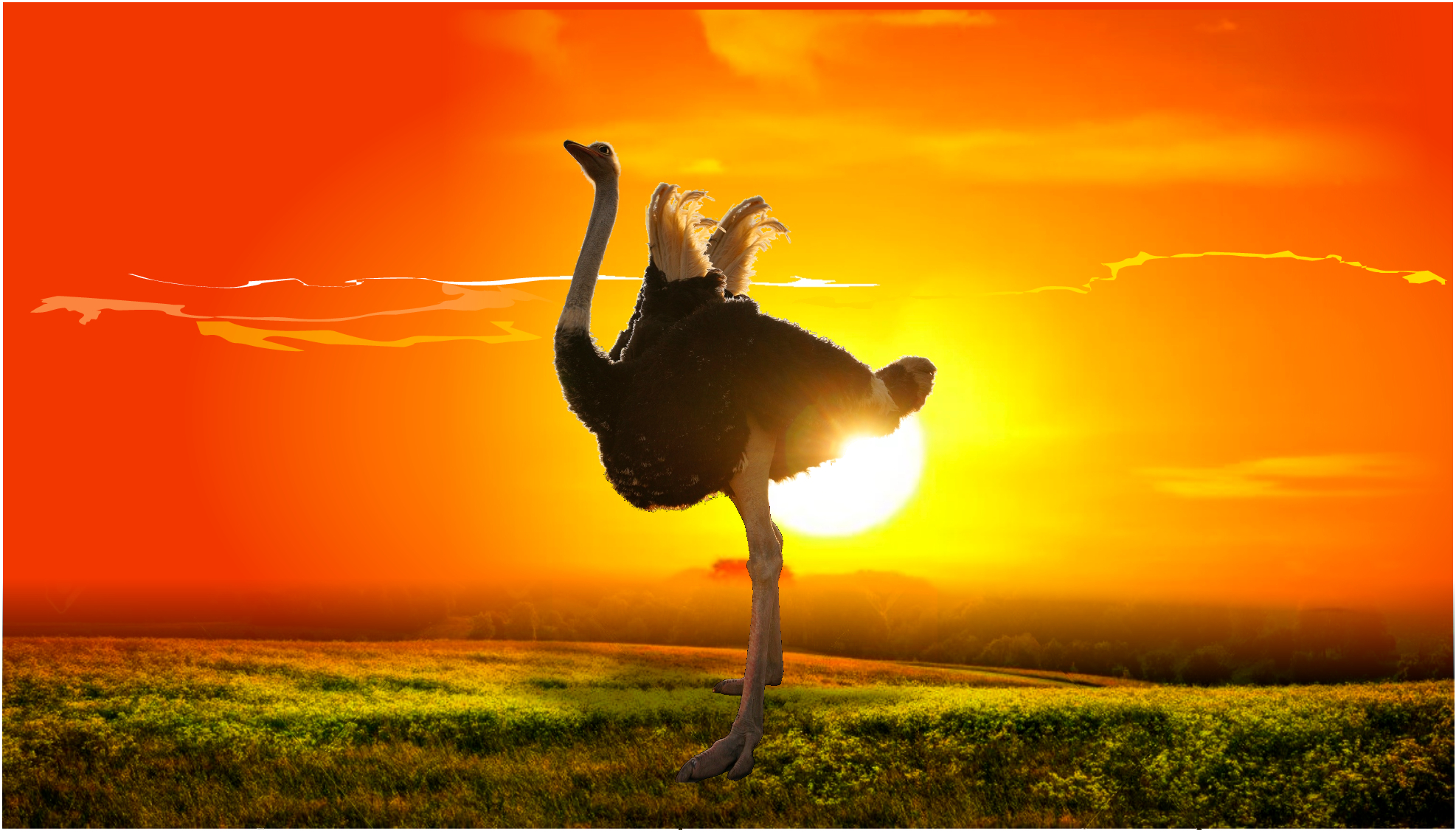 Hofladen - Täler-Straußenfarm Hellborn