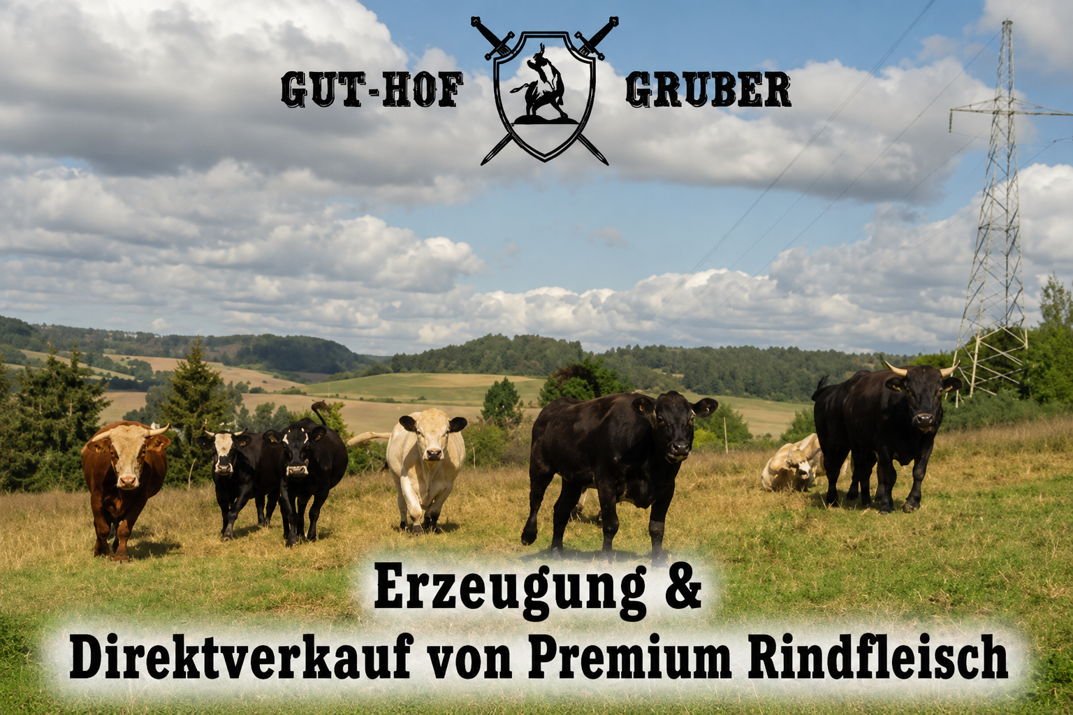 regionale Produkte: Hereford, Wagyu Rinder und deren Kreuzungen – ganzjährig auf unseren Weiden, direkt vermarktet von der Familie Gruber, aus Schalkau / Thüringen. - Gut-Hof-Gruber