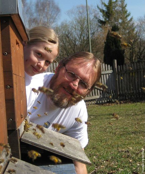 Hofladen - Unsere Bienen bei der Arbeit - Imkerei Majas Schlaraffenland