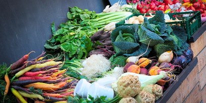 regionale Produkte - Gemüse: Zuchini - Obsthof Wenz