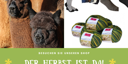 regionale Produkte - Tolle Alpaka Produkte auch im Bellapaca Online Shop der Bühlertal Alpakas - Bühlertal Alpakas GbR 