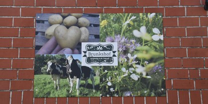 regionale Produkte - Gemüse: Zuchini - Brunkshof, Hofladen und Milchtankstelle