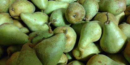 regionale Produkte - Beeren: Stachelbeeren - Sipplingen - Dettelbach Obst Liggeringen