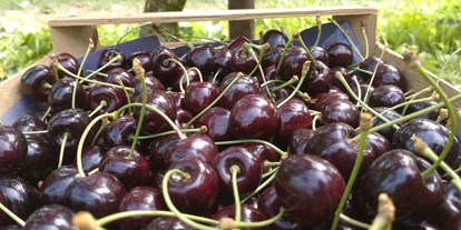 regionale Produkte - Beeren: Stachelbeeren - Sipplingen - leckere Kirschen - Dettelbach Obst Liggeringen