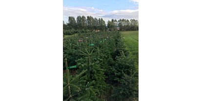 regionale Produkte - Windsbach - Weihnachtsbäume Meßthaler