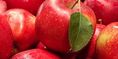 regionale Produkte - Beeren: Erdbeeren - Heist - Obsthof Ramdohr