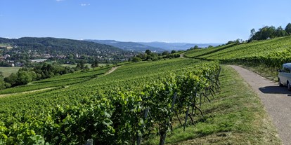 regionale Produkte - Steinen (Landkreis Lörrach) - Rebberg Tüllingen - Weinbau Ruser