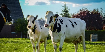 regionale Produkte - PLZ 17207 (Deutschland) - Die Kühe - Frischmilchautomat am Globus