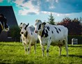 Hofladen: Unsere Kühe - Frischmilchautomat im E-Center Rostock