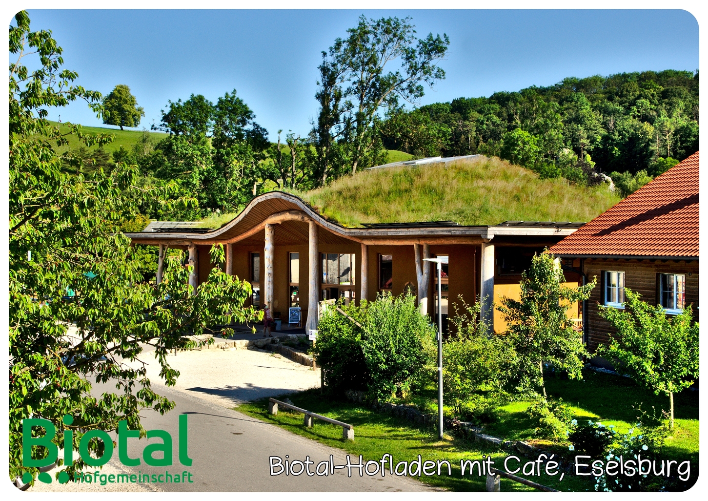 regionale Produkte - Beeren: Erdbeeren - Deutschland - Hofladen mit Gründach - Biotal Hofgemeinschaft