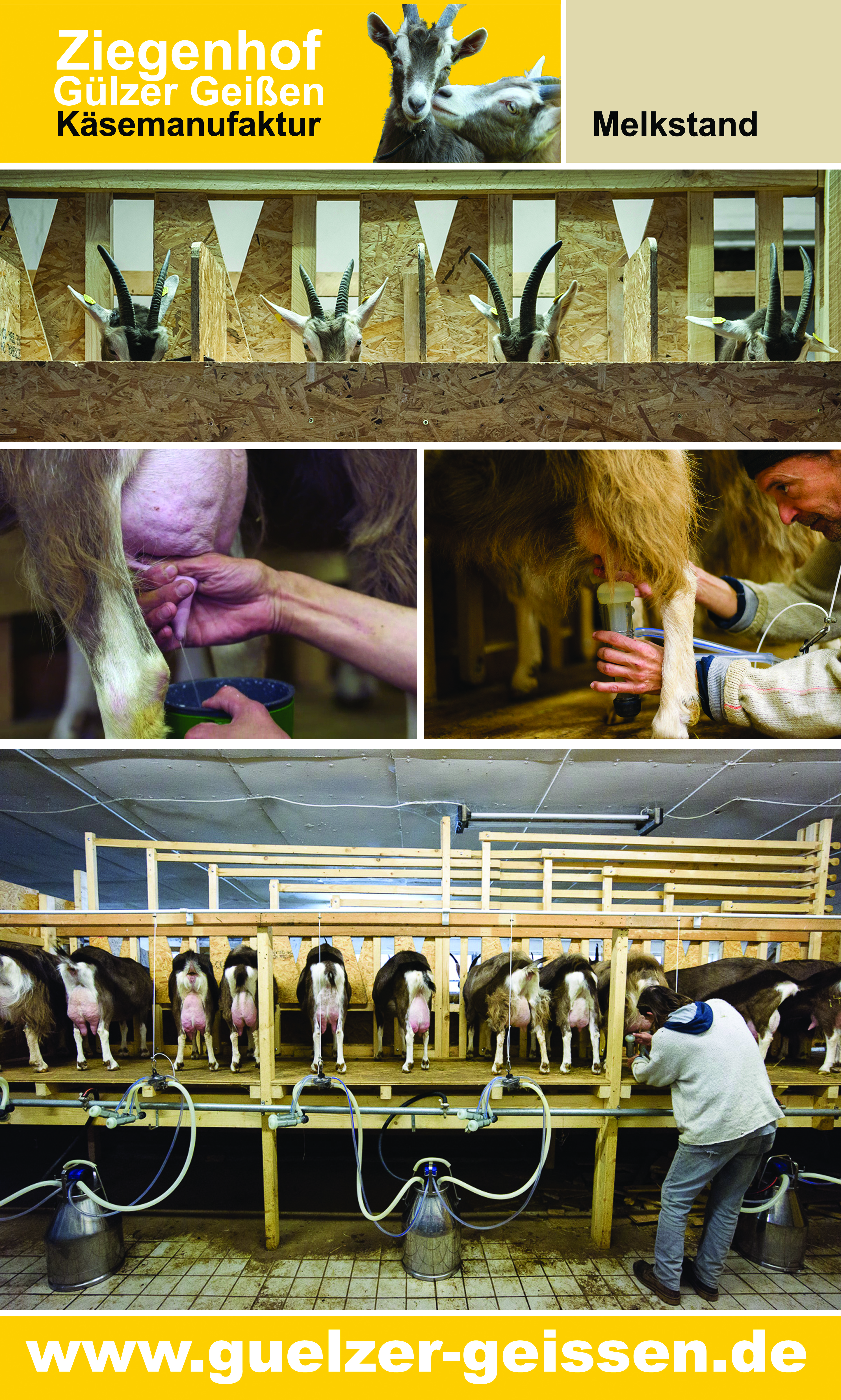 Hofladen: Ziegenhof Gülzer Geißen auf dem Wochenmakt in Dannenberg