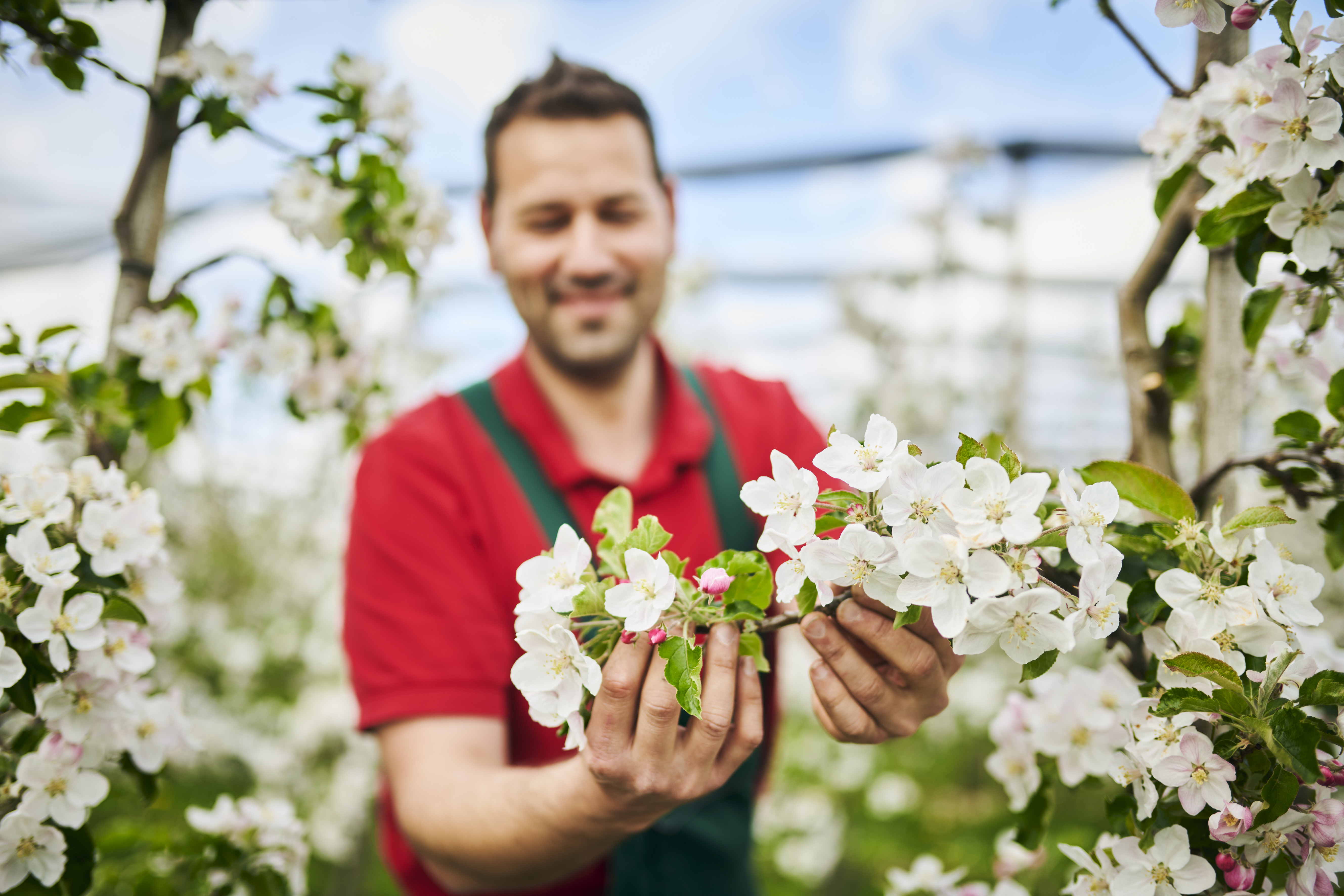 regionale Produkte - Gemüse: Gurken - Deutschland - Ingo Ehrenfeld