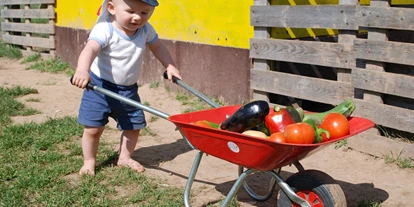 regionale Produkte - Beeren: andere - Erlangen - Egal ob Groß oder Klein, jeder kann bei uns frischestes Obst und Gemüse entdecken :)  - Huckepack Erlebnisernten
