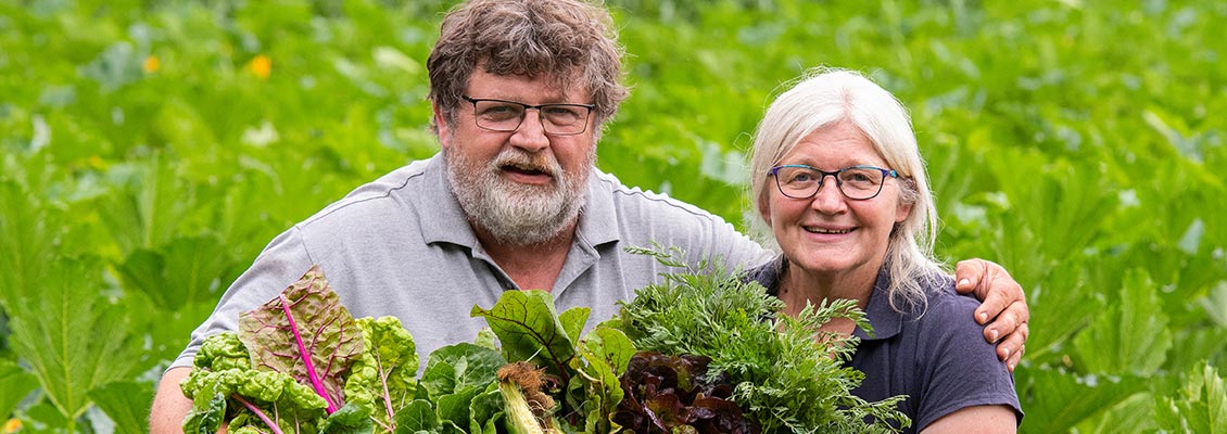 regionale Produkte - Gemüse: Kürbis - Niedersachsen - Frederic Pein & Annette Ohm - Gärtnerei Rothenfeld
