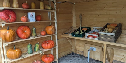 regionale Produkte - Honig und Honigprodukte - Sachsen-Anhalt - Gerade aktuell. Kürbisse in vielen Größen. - Sabine Schmachtel