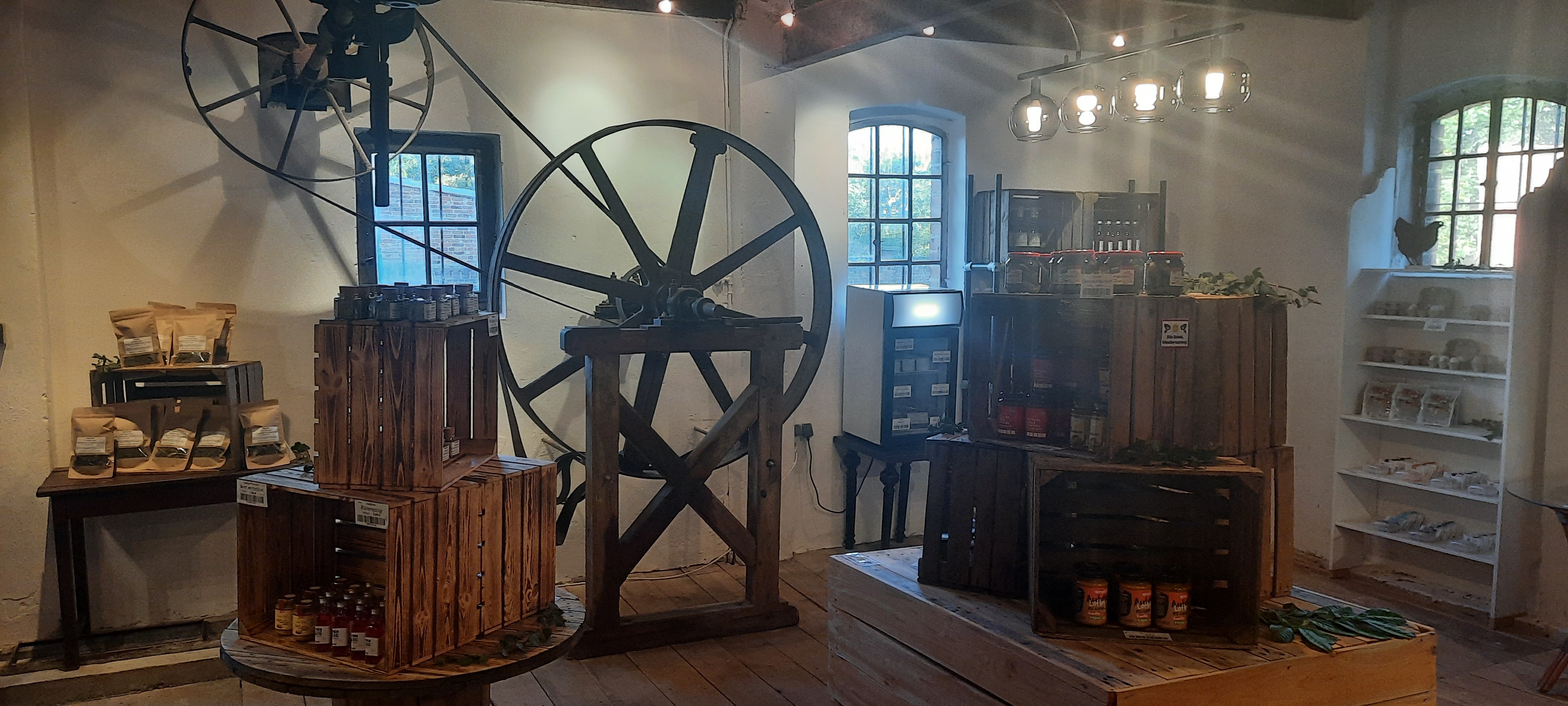 regionale Produkte - Gemüse: Gurken - Deutschland - Mühlenclub 24/7 Hofladen