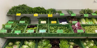 regionale Produkte - Beeren: Stachelbeeren - Ein Teil unserers Gemüse-Sortiments - Bioland Gärtnerei Dänzer
