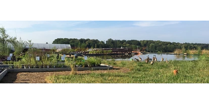 regionale Produkte - Beeren: Stachelbeeren - Bioland Gärtnerei Dänzer