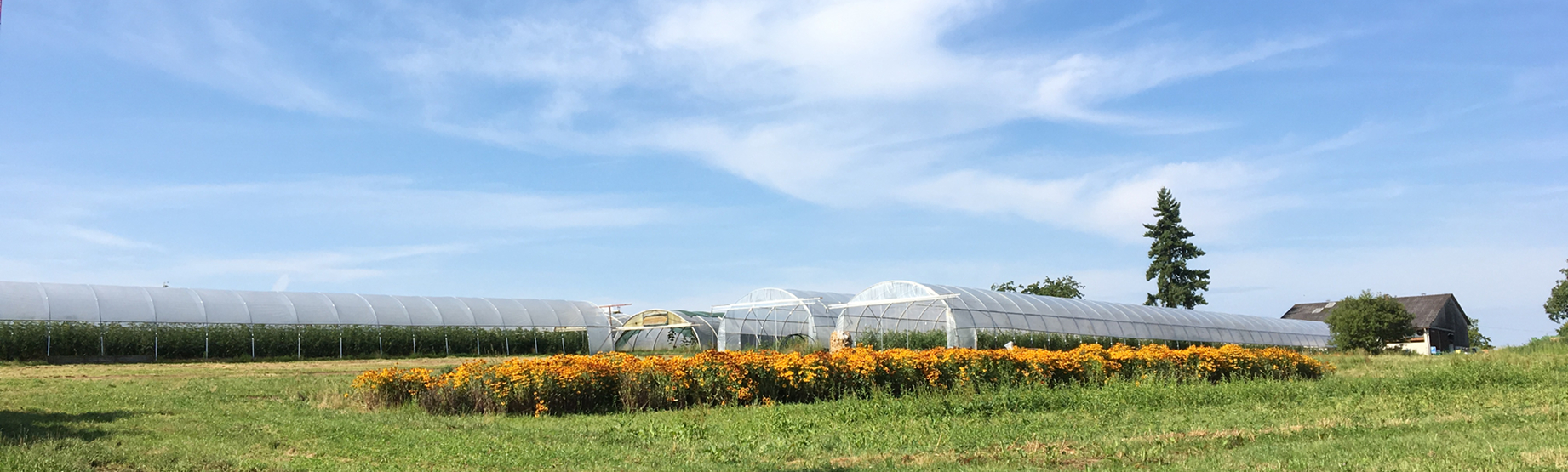 Hofladen: Bioland Gärtnerei Dänzer