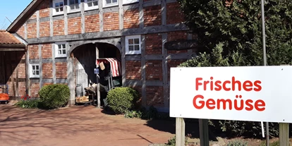regionale Produkte - Beeren: Stachelbeeren - Visselhövede - Hof Rießel