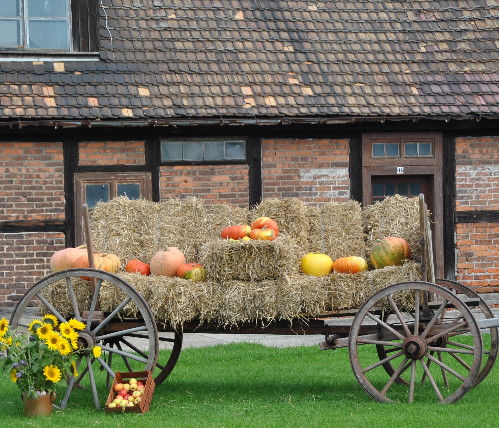 regionale Produkte - Gutshof - Gut Neu Sacro