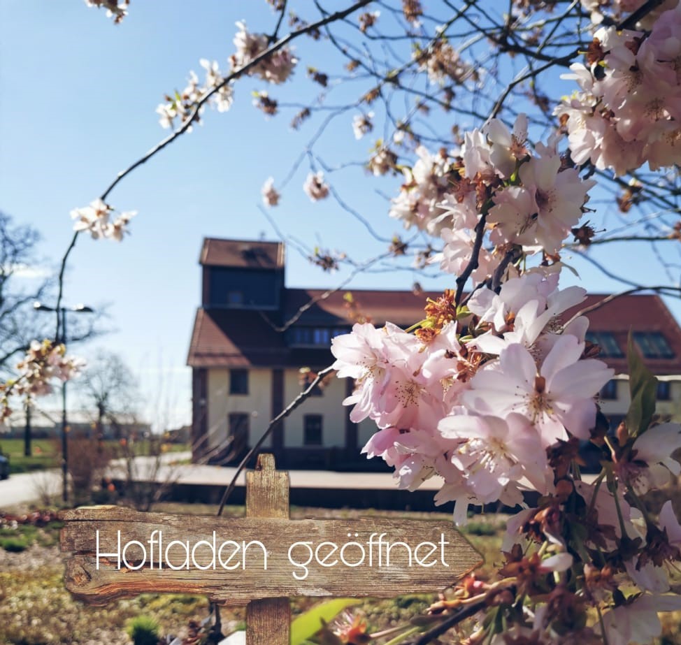 regionale Produkte - Kornspeicher - Gut Neu Sacro