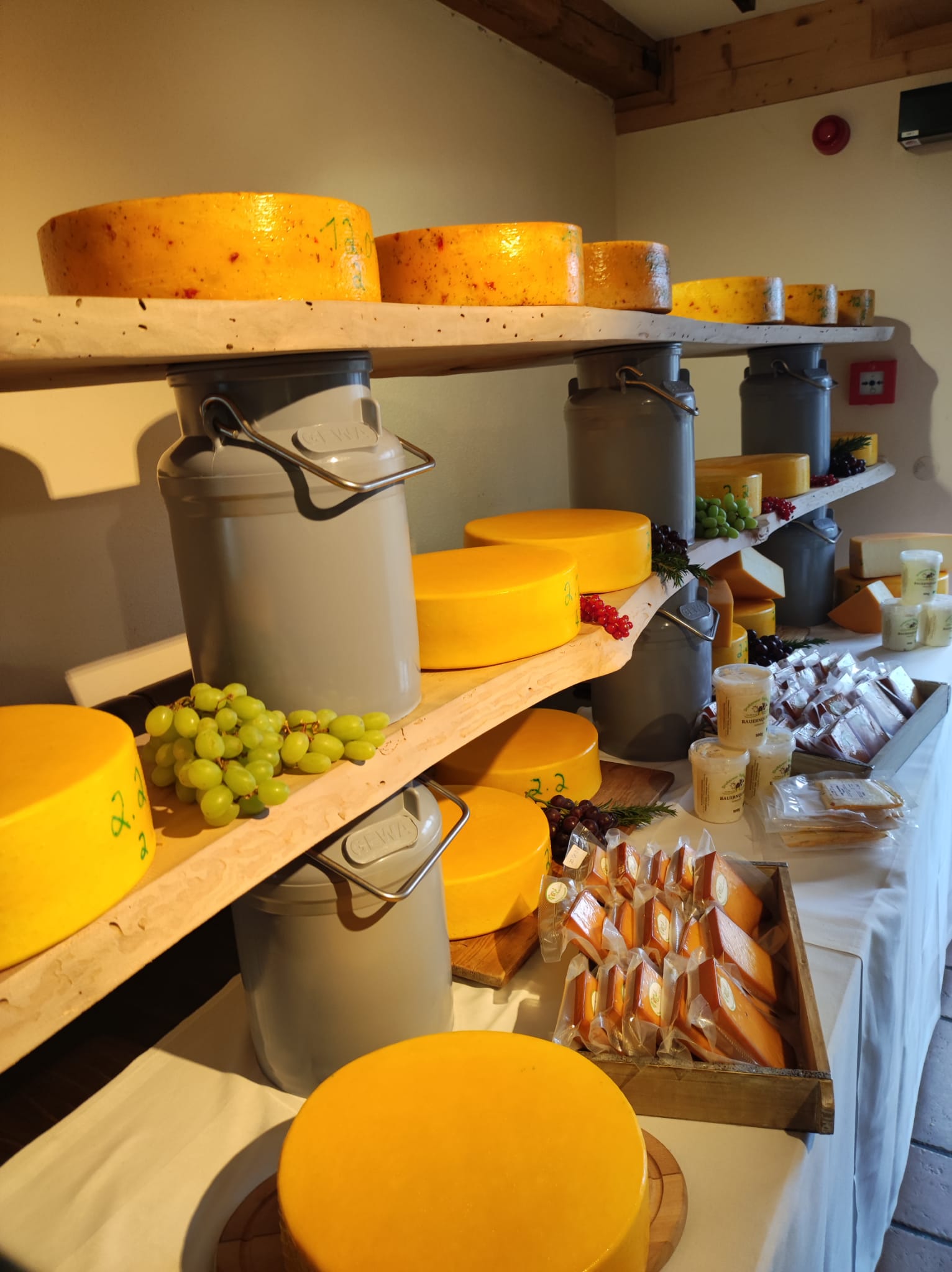 regionale Produkte - Spitzenkäse - Gut Neu Sacro